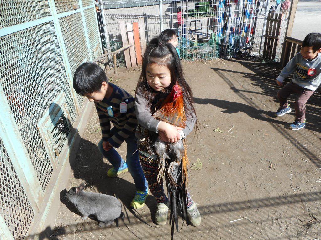 なかの幼稚園 飼育小屋