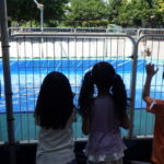 夏だ！暑いぞ！プールが楽しい！なかの幼稚園は毎日だって入れます！